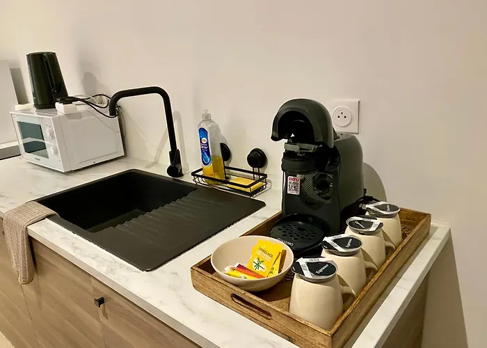 Acacia Terrasse*proche Centre-ville Et Chu